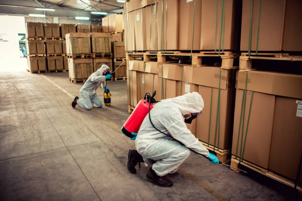 Best Best Pest Control Companies  in Rayre, MO