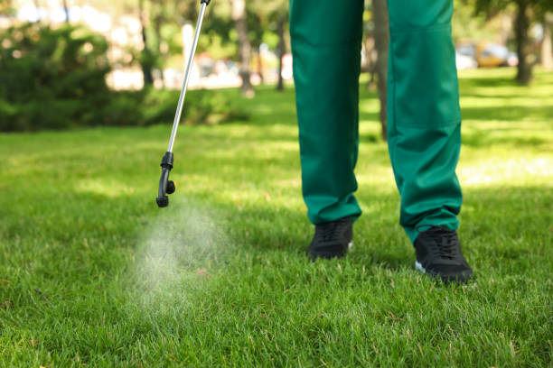 Best Wasp Removal Services  in Rayre, MO