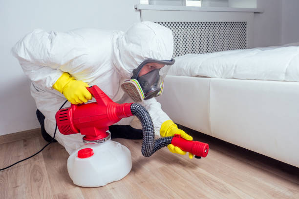 Best Insect Control  in Rayre, MO