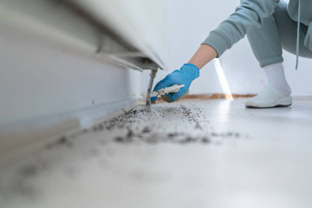Best Affordable Pest Control Services  in Rayre, MO
