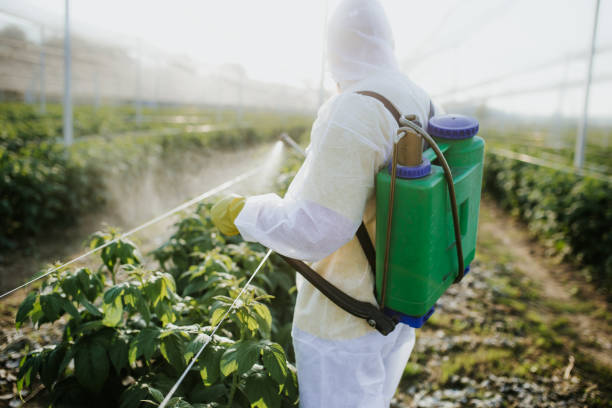 Best Pest Control Near Me  in Rayre, MO